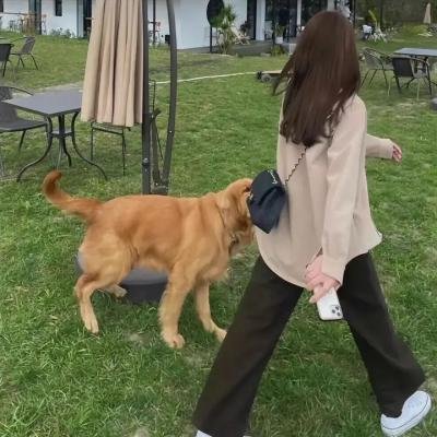 嗜血小红帽